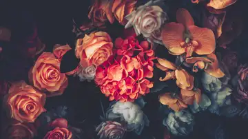 Sincere Desire