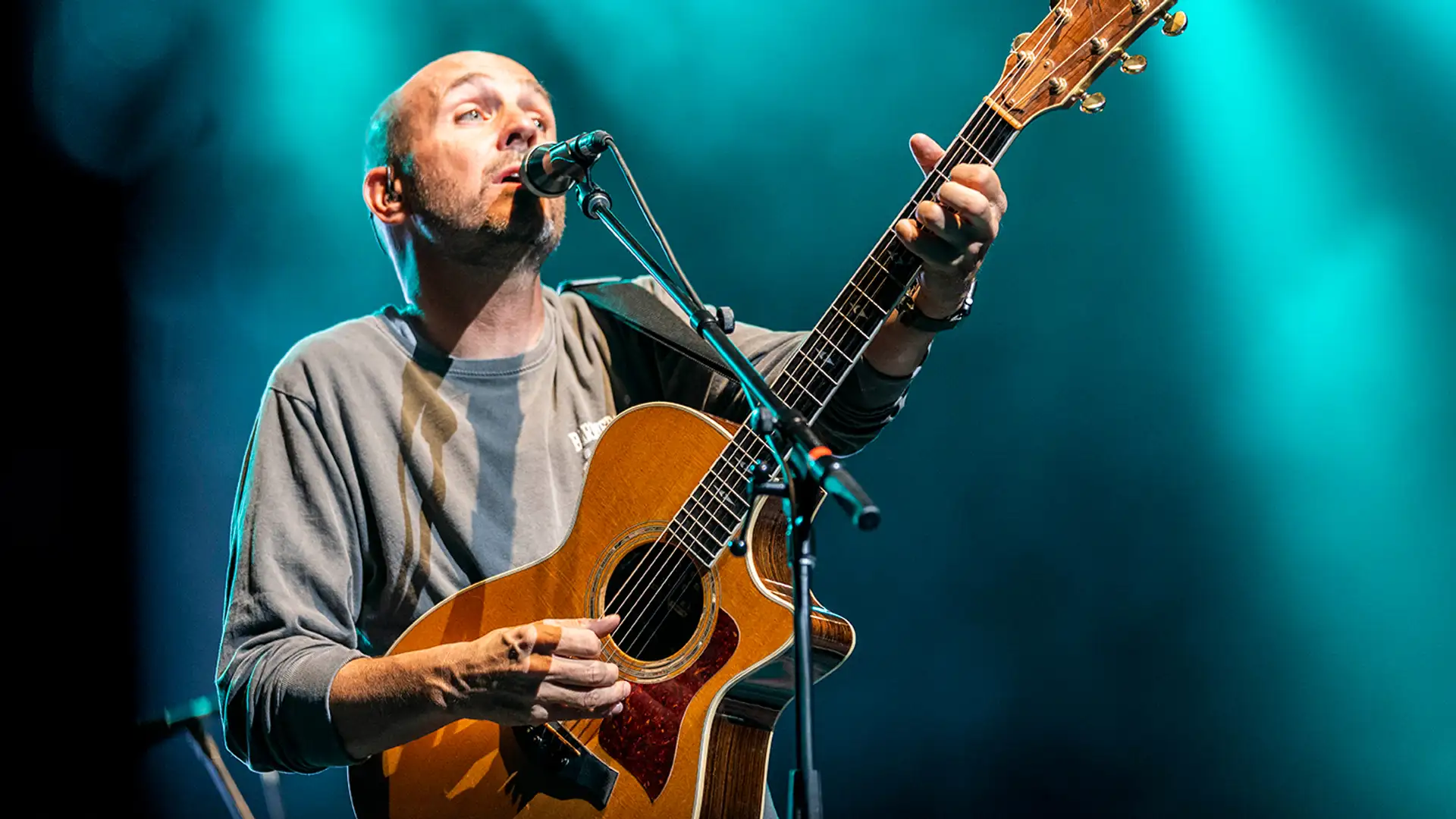 Peter Breinholt, Mini Book Club, Writing Christmas Movies, Baby Chimp Rescue