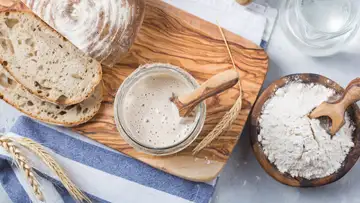 The World's First Sourdough Library