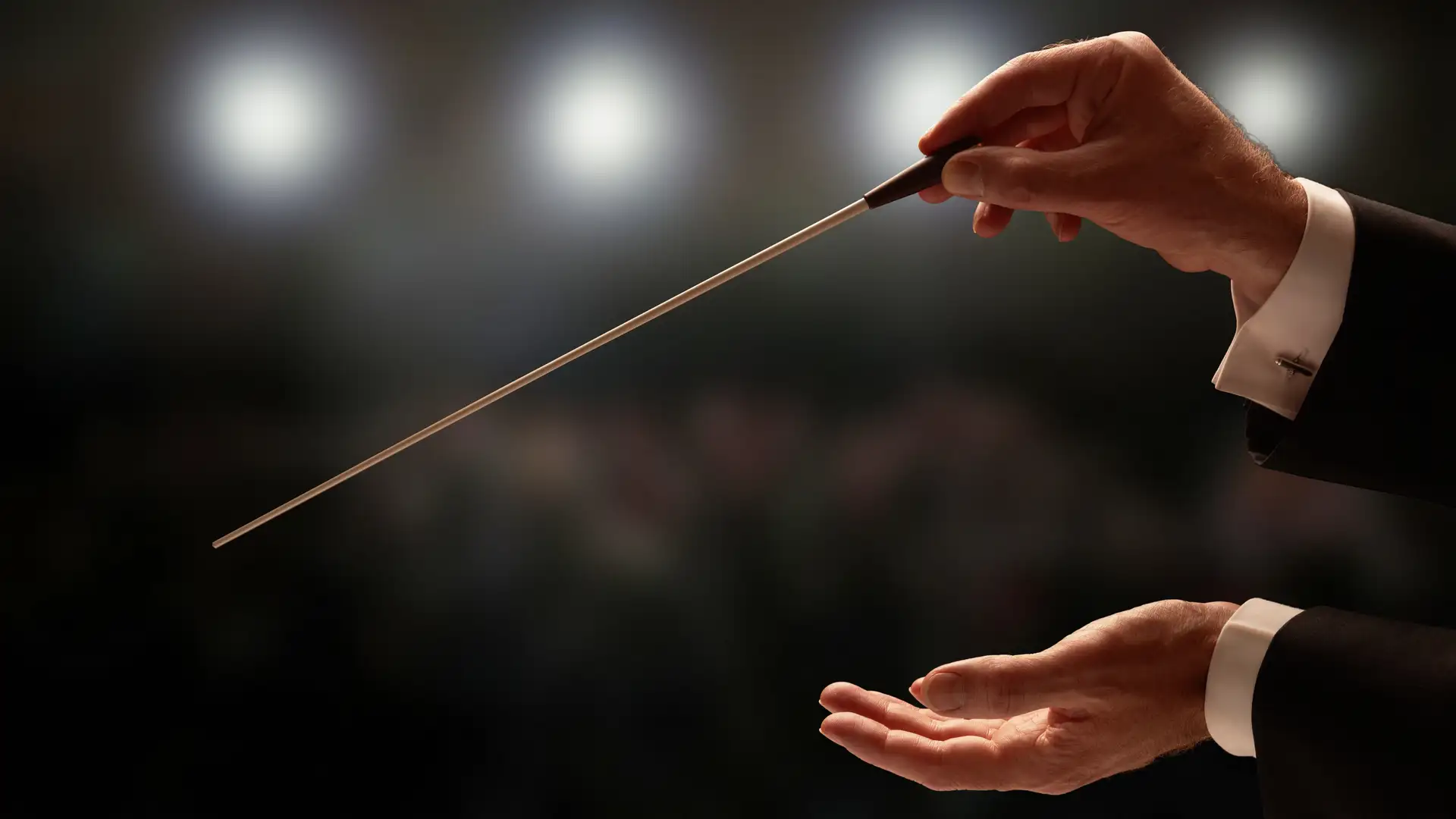 Adam Schoenberg Interview