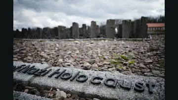 Boy from Buchenwald: The True Story of a Holocaust Survivor