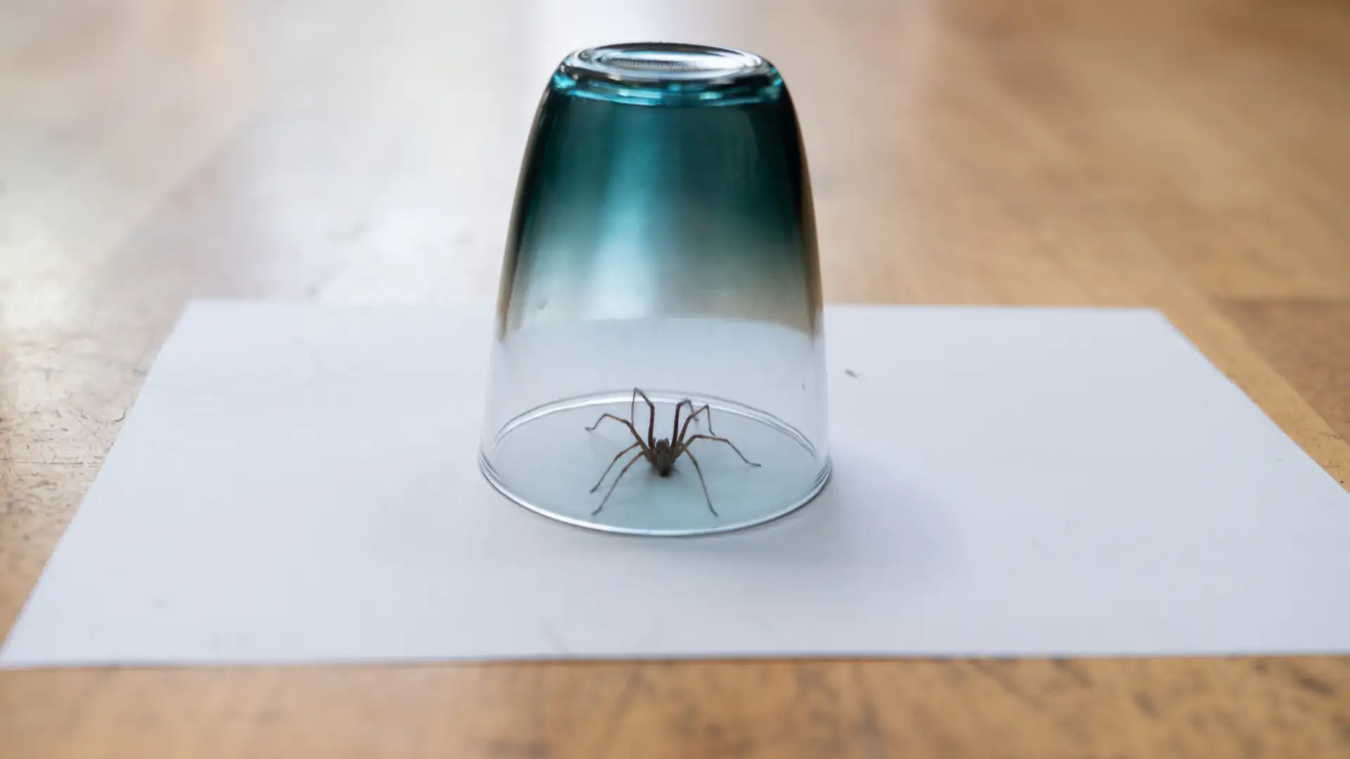 Dark Side of Science