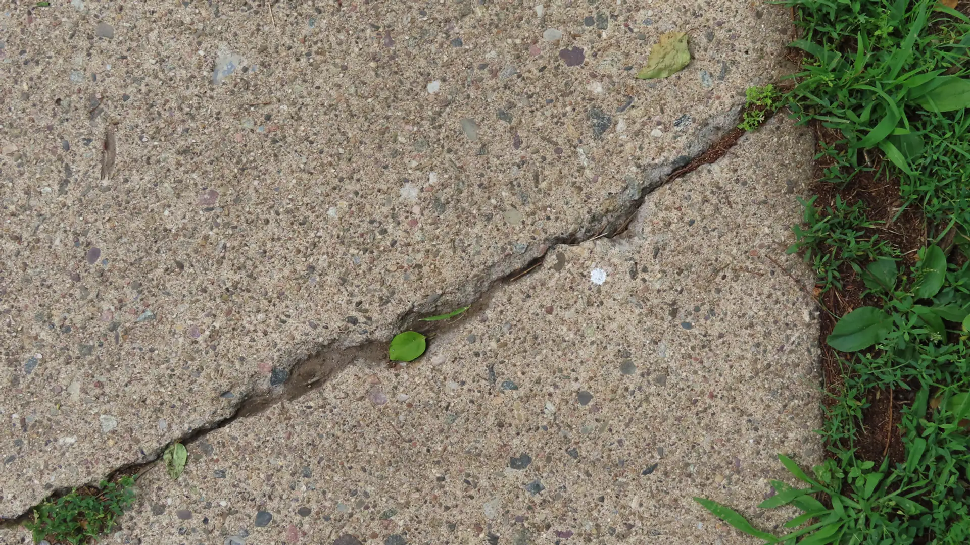 Cracking of the Sidewalk