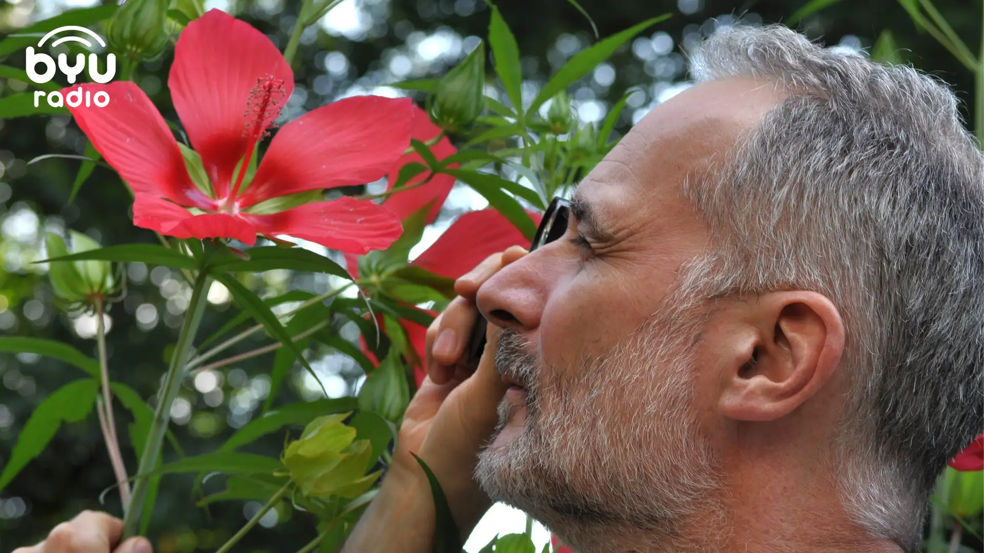 Floral Revolutionaries: Plants as Planet-Makers