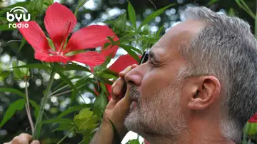 Floral Revolutionaries: Plants as Planet-Makers