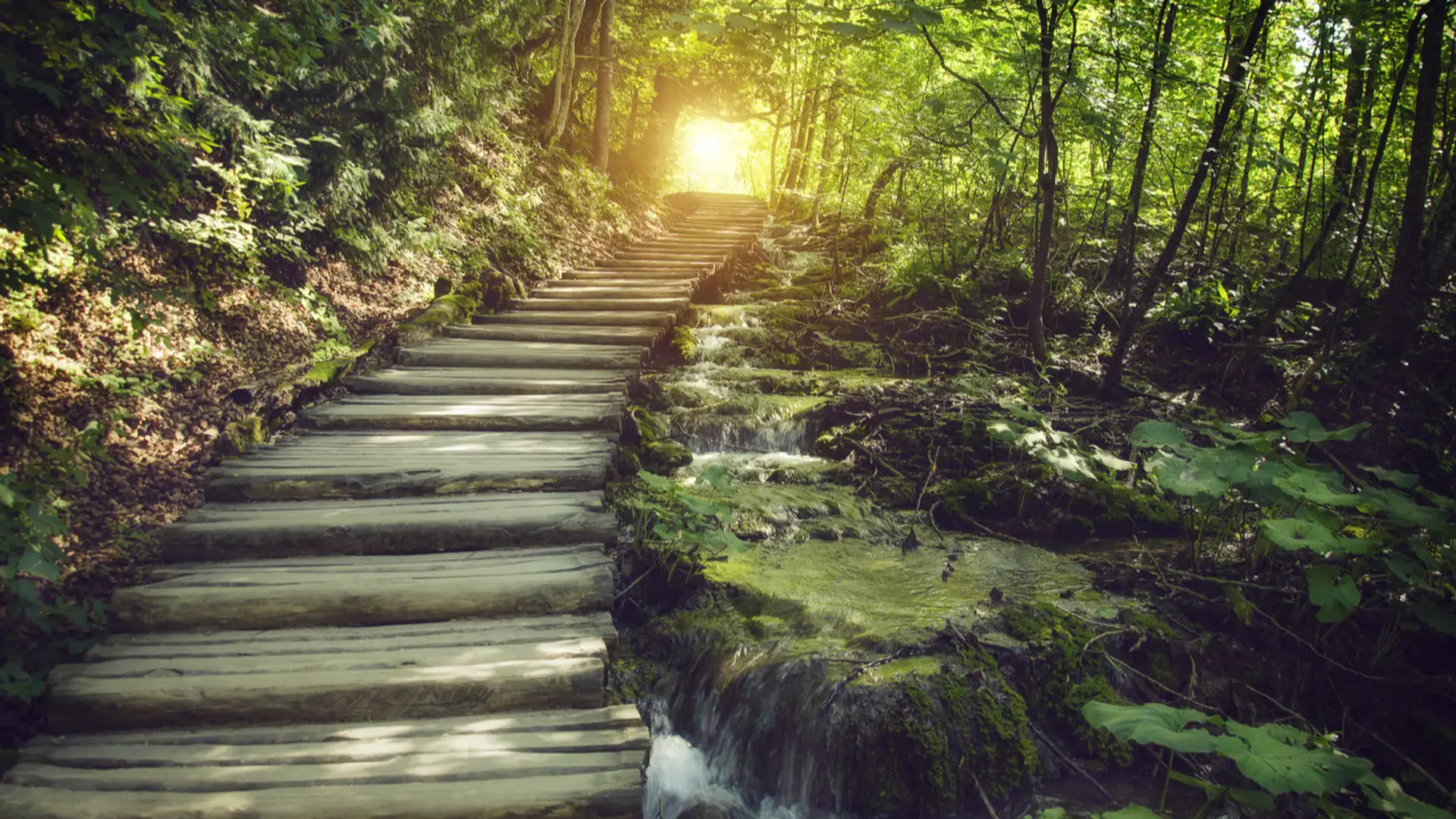 Journey of a Thousand Stories