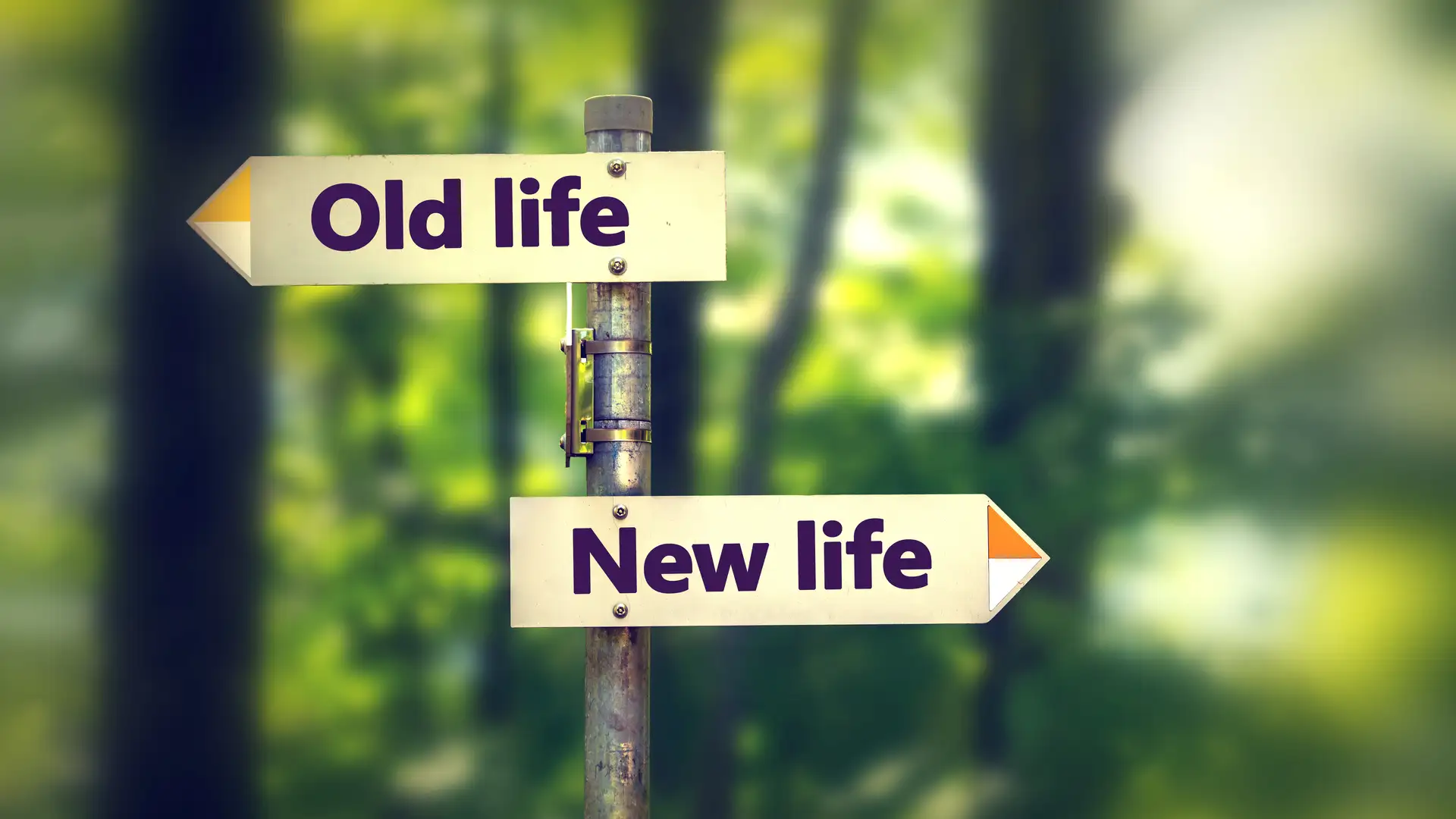 Change Your Life With One Word