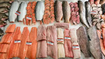 Meat Fraud