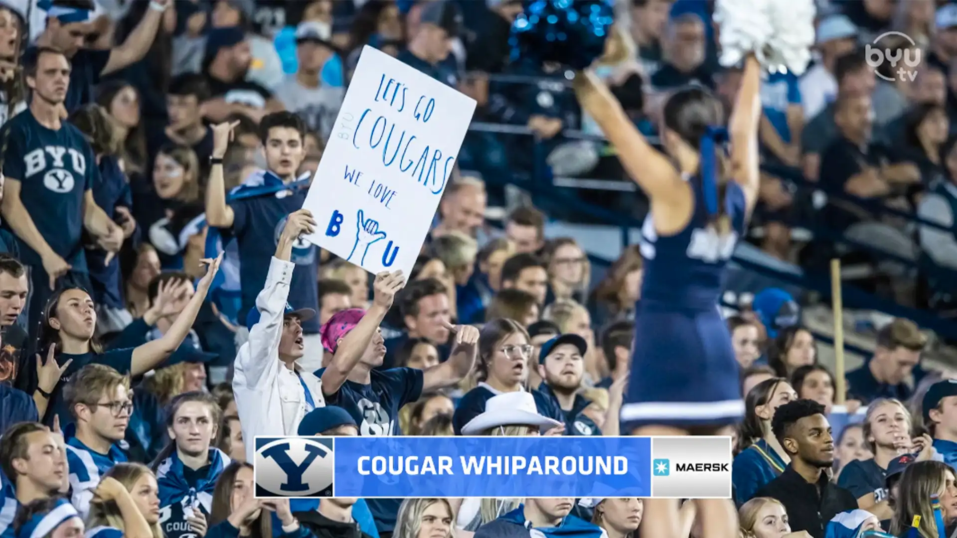 Cougar Whiparound