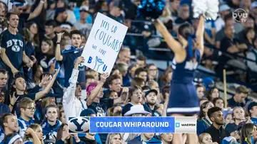 Cougar Whiparound
