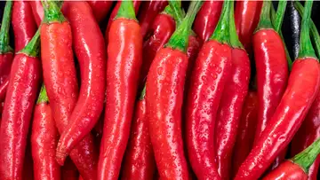 Why Do You Enjoy Food That Sets Your Mouth on Fire?