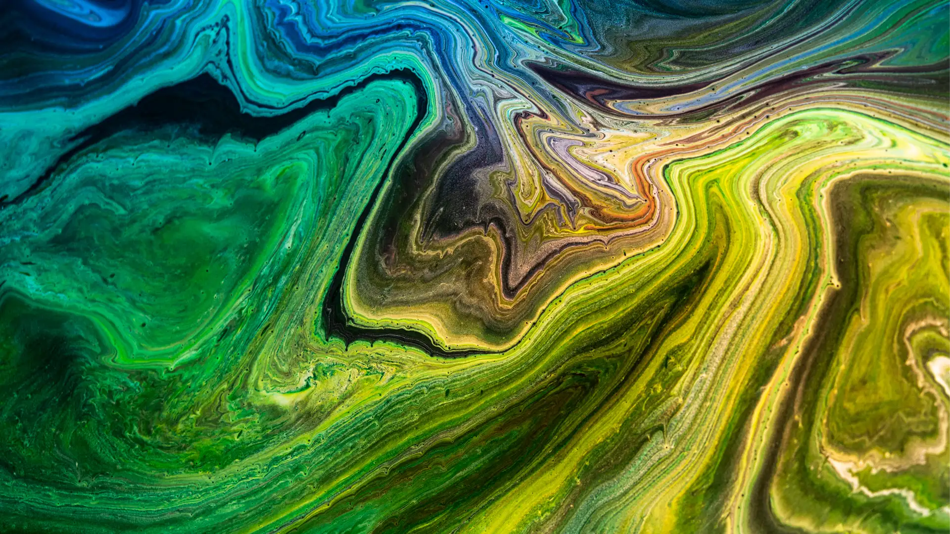 The Gift Has Been Given