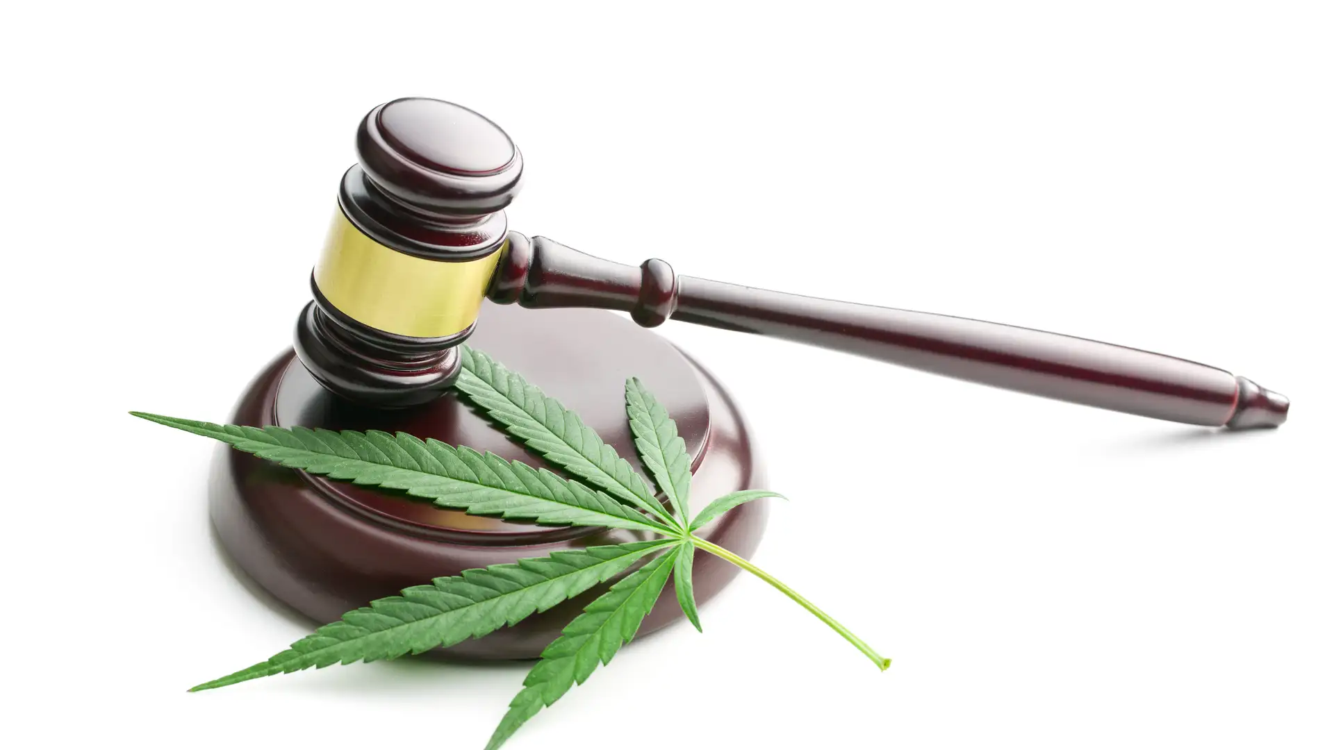What Are the Effects of Marijuana Criminalization?