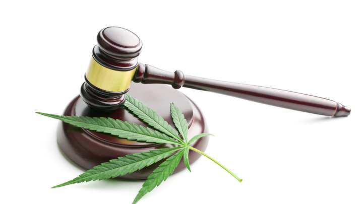 What Are the Effects of Marijuana Criminalization?