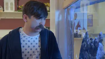 Am I A Fish?