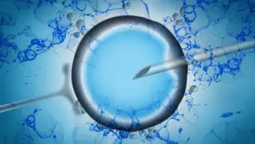 Fertility Industry