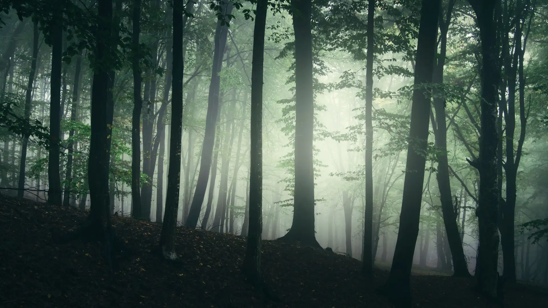 BITE: "The Baal Shem Tov and the Werewolf" by Gerald Fierst