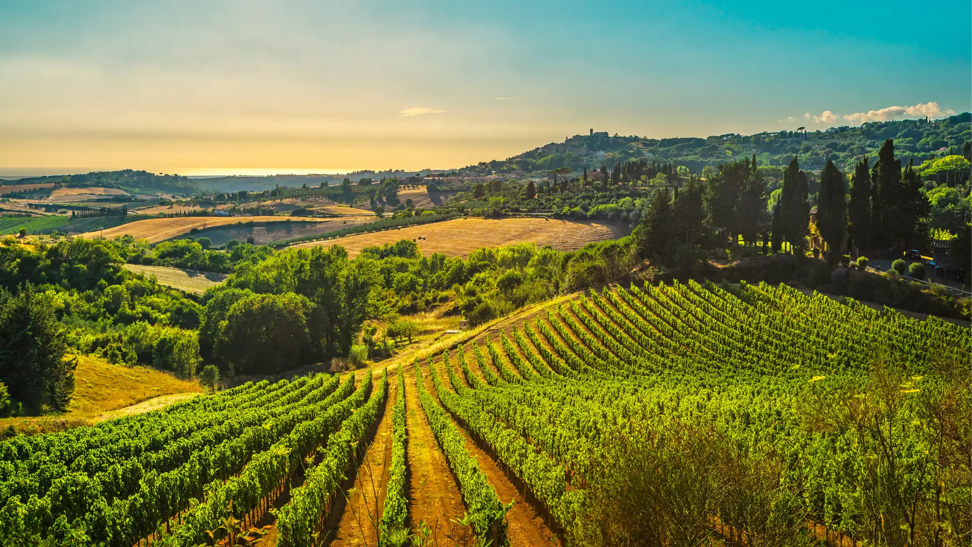 Replacing OWNERSHIP with STEWARDSHIP