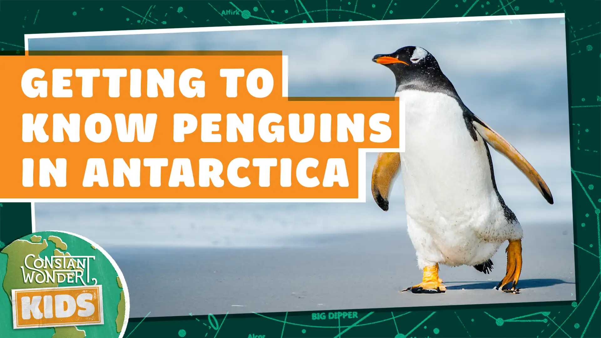 Getting to Know Penguins in Antarctica