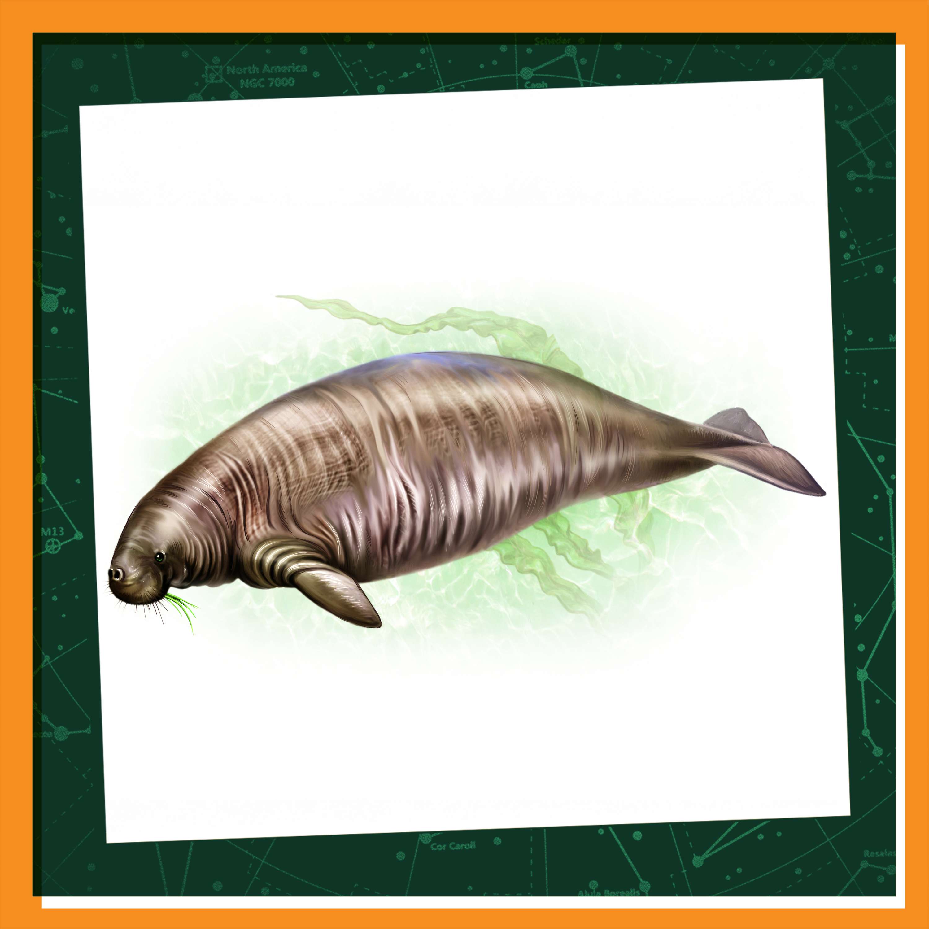 Getting to Know Steller’s Sea Cow episode artwork