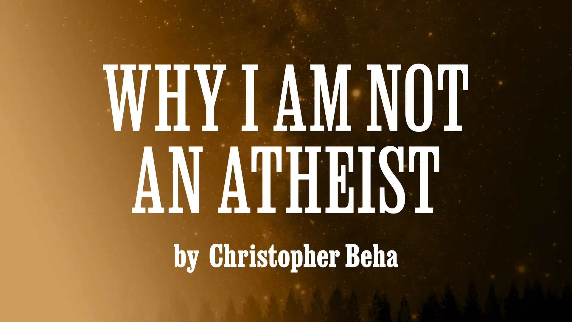"Why I Am Not An Atheist" by Christopher Beha