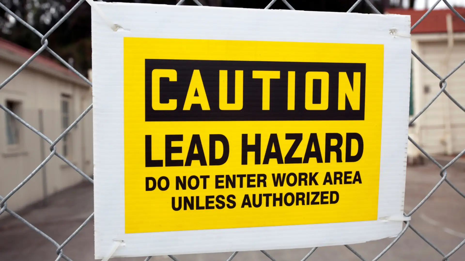 Lead and Personality