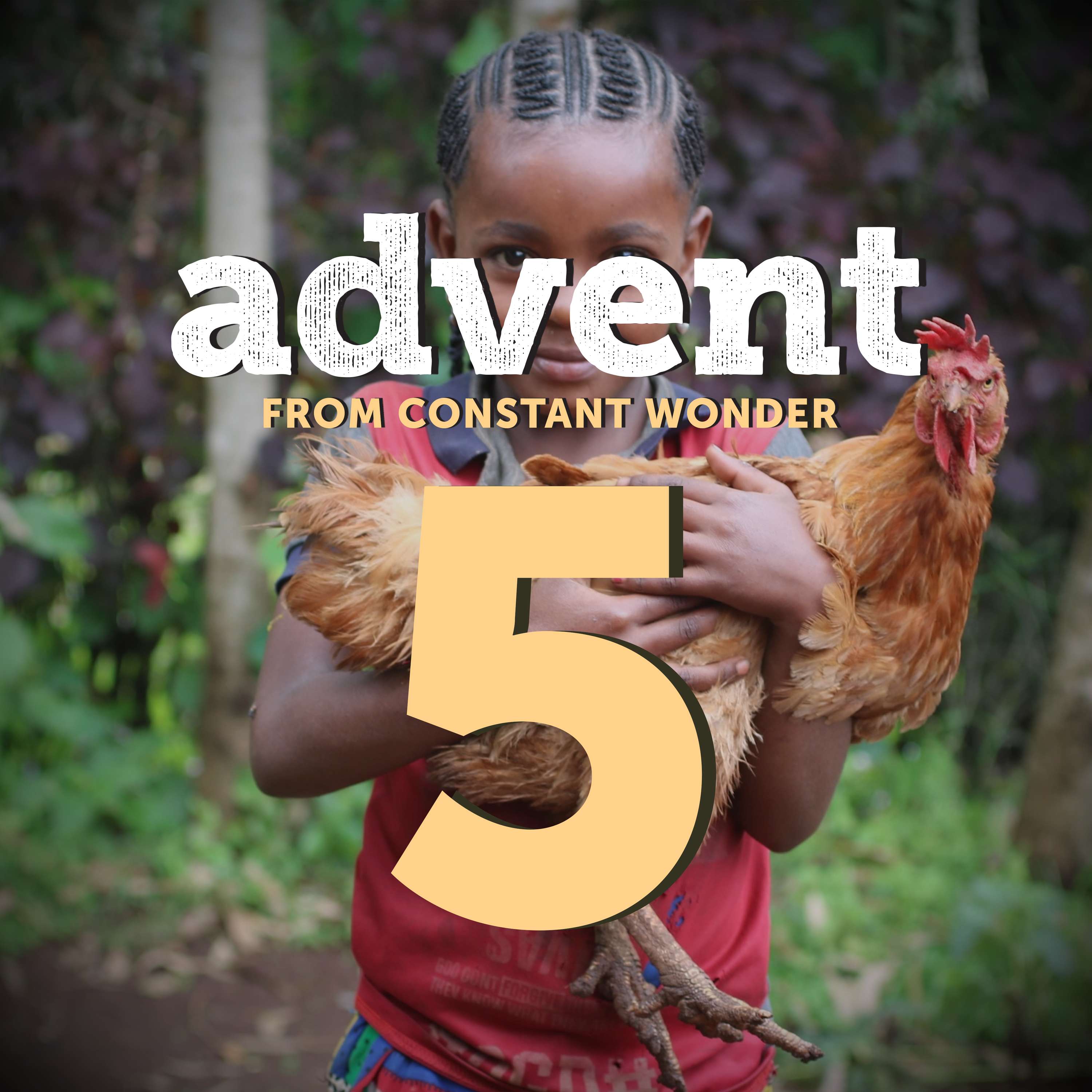 Love Has a Ripple Effect (#LightTheWorld) - December 5