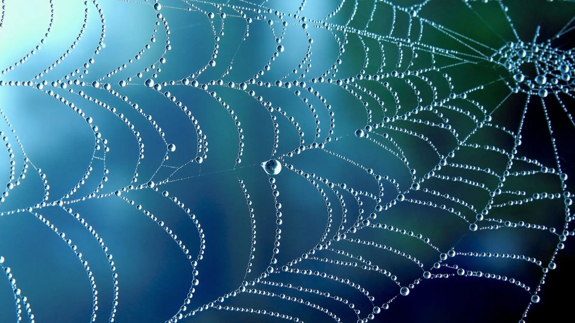 BITE: "Anansi the Spider and His Six Sons" by Bobby Norfolk