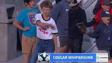Cougar Whiparound