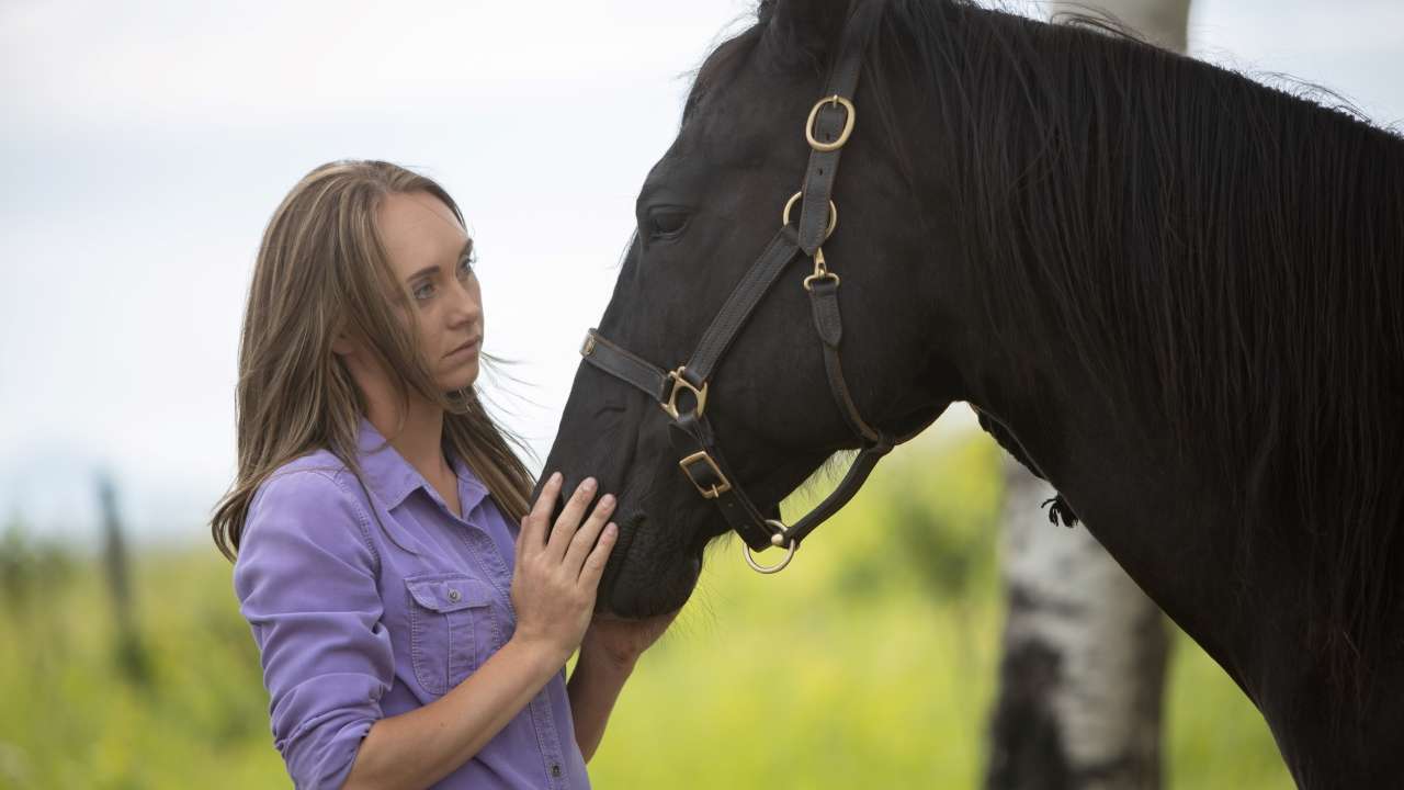 Heartland Episode - The Art of Trust