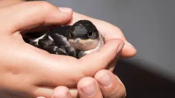 Peace in Waiting - December 10