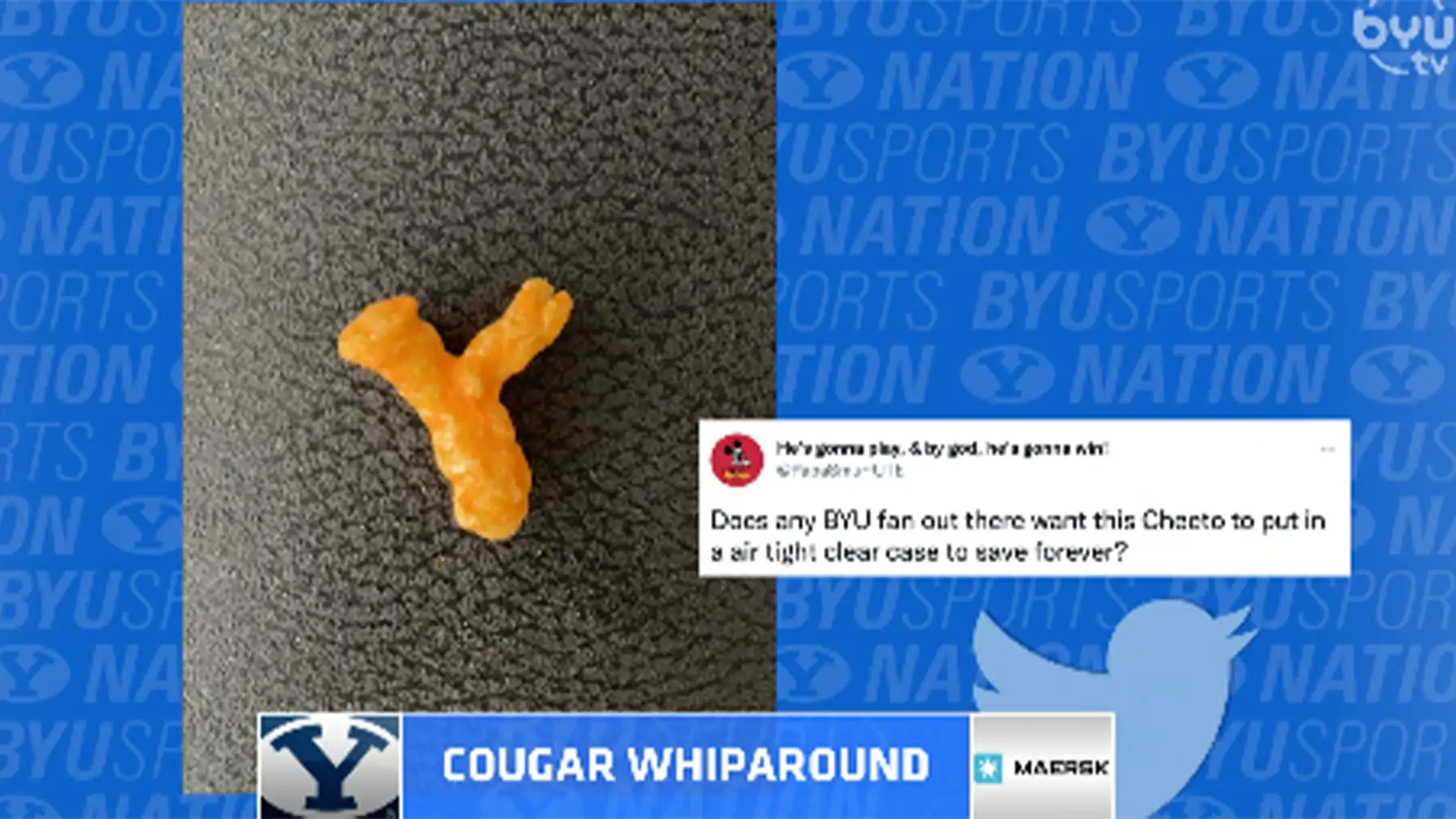 Cougar Whiparound