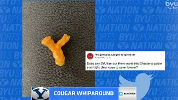 Cougar Whiparound
