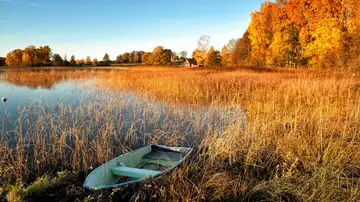 Peace and Rest - Even Now
