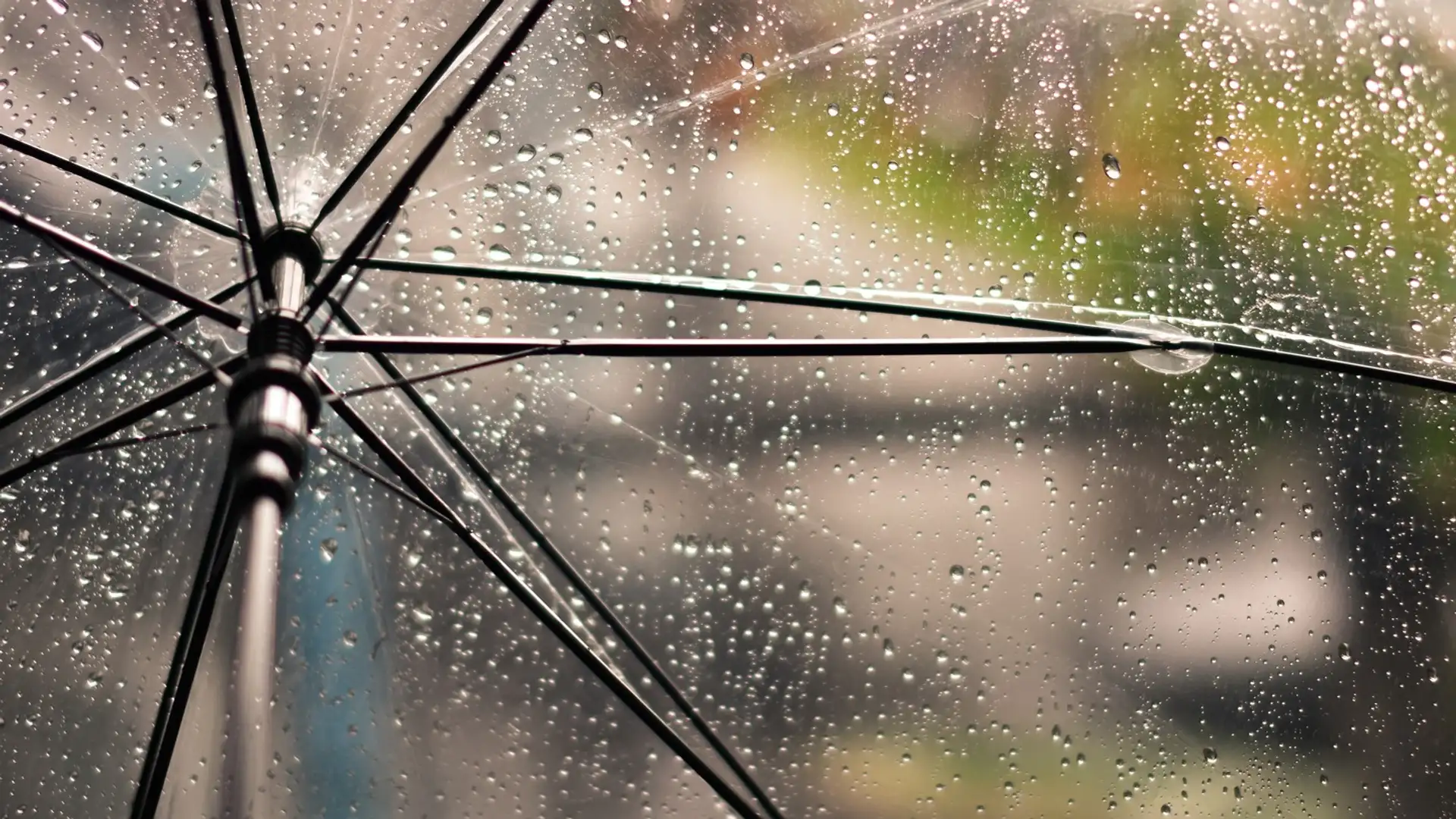 No Matter the Weather