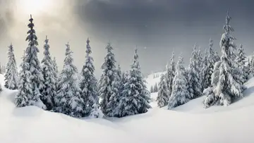 Lautenwerck, Ghost Detective, Antarctic Forest
