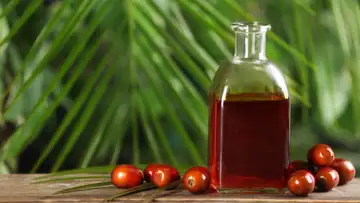 Palm Oil