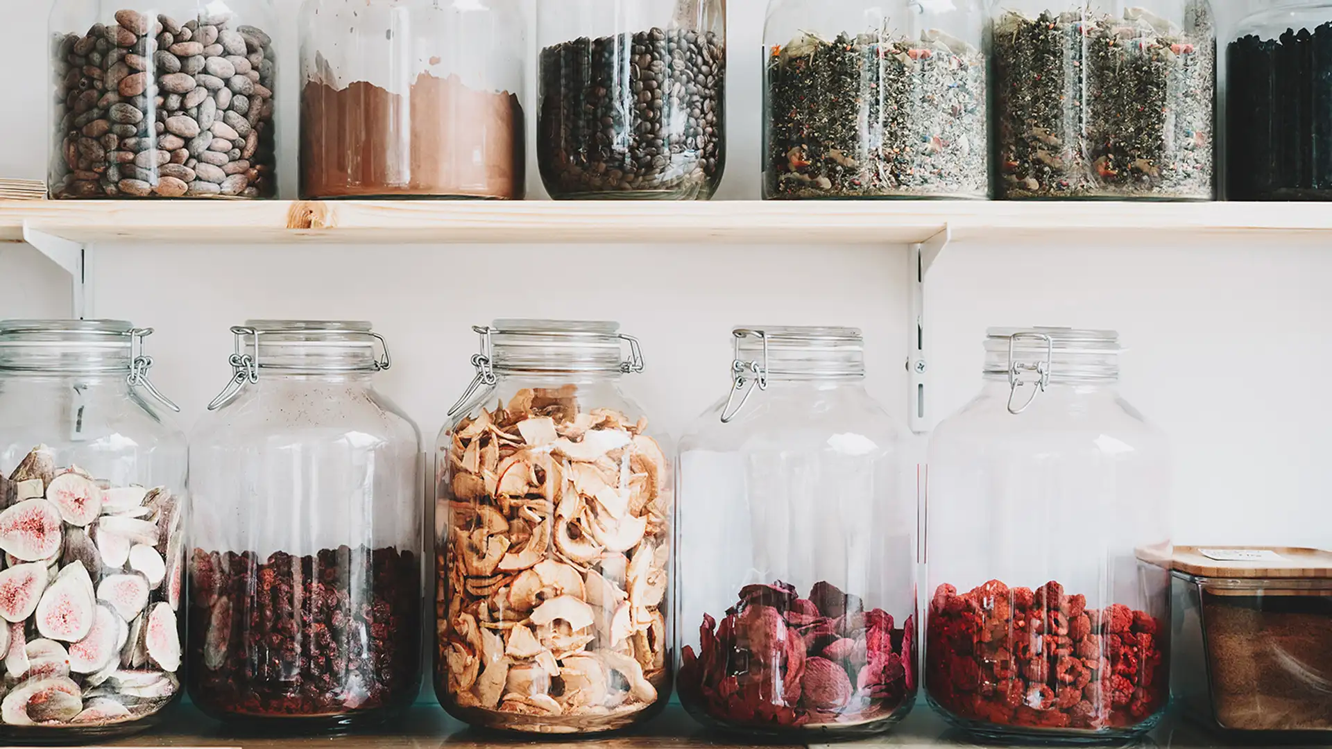 Purpose and Passion, Petitions, Kitchen Organization, Women in STEM, Board Games, Snail Mail, World's Largest Frying Pan, Everyday Heroes