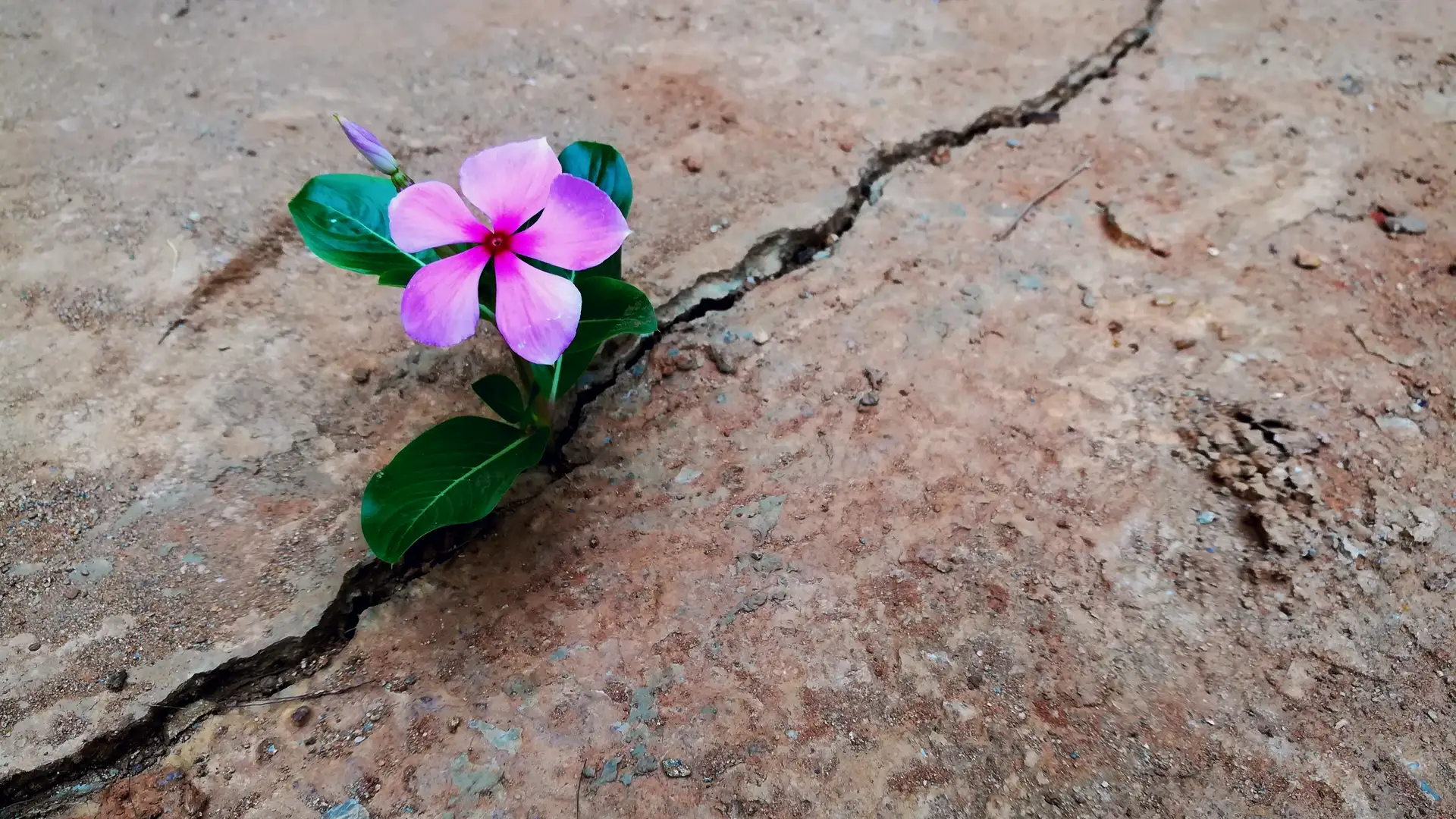 Staying True to the Faith