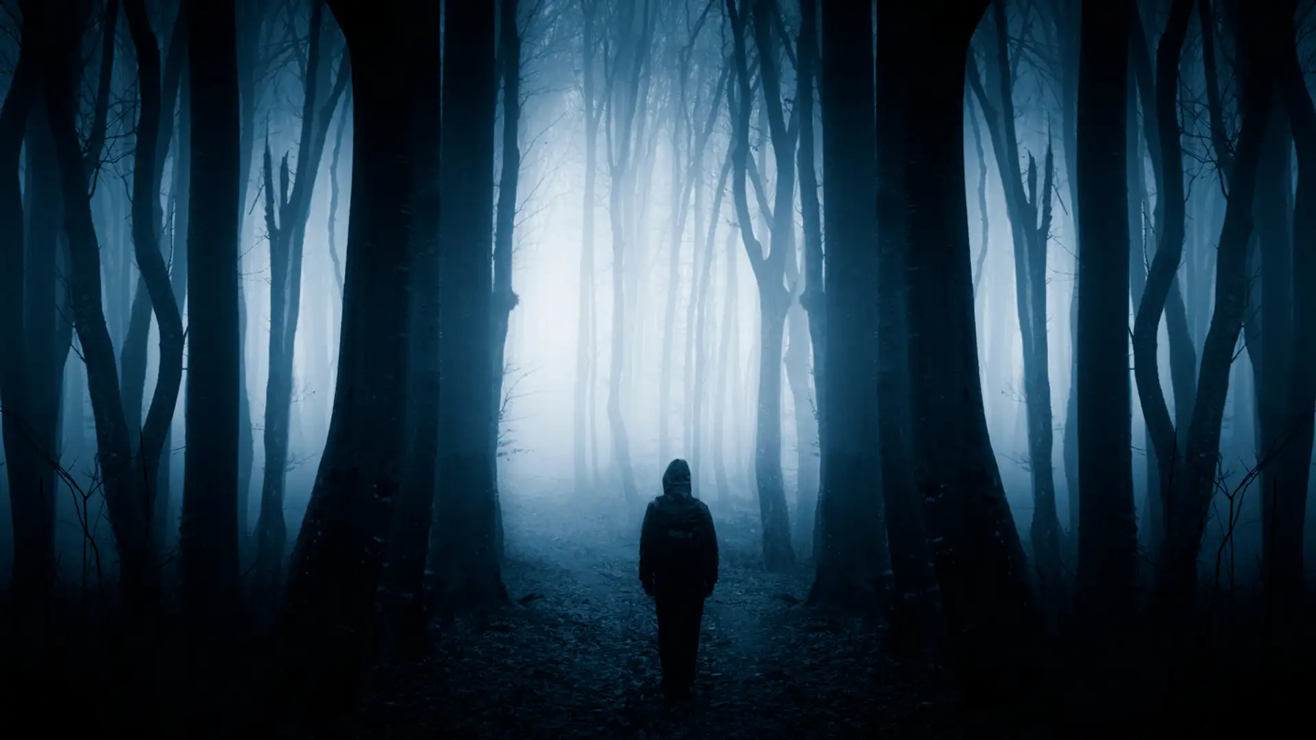 The Secrets of Spooky Urban Legends 