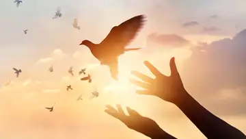 Freedom to Choose