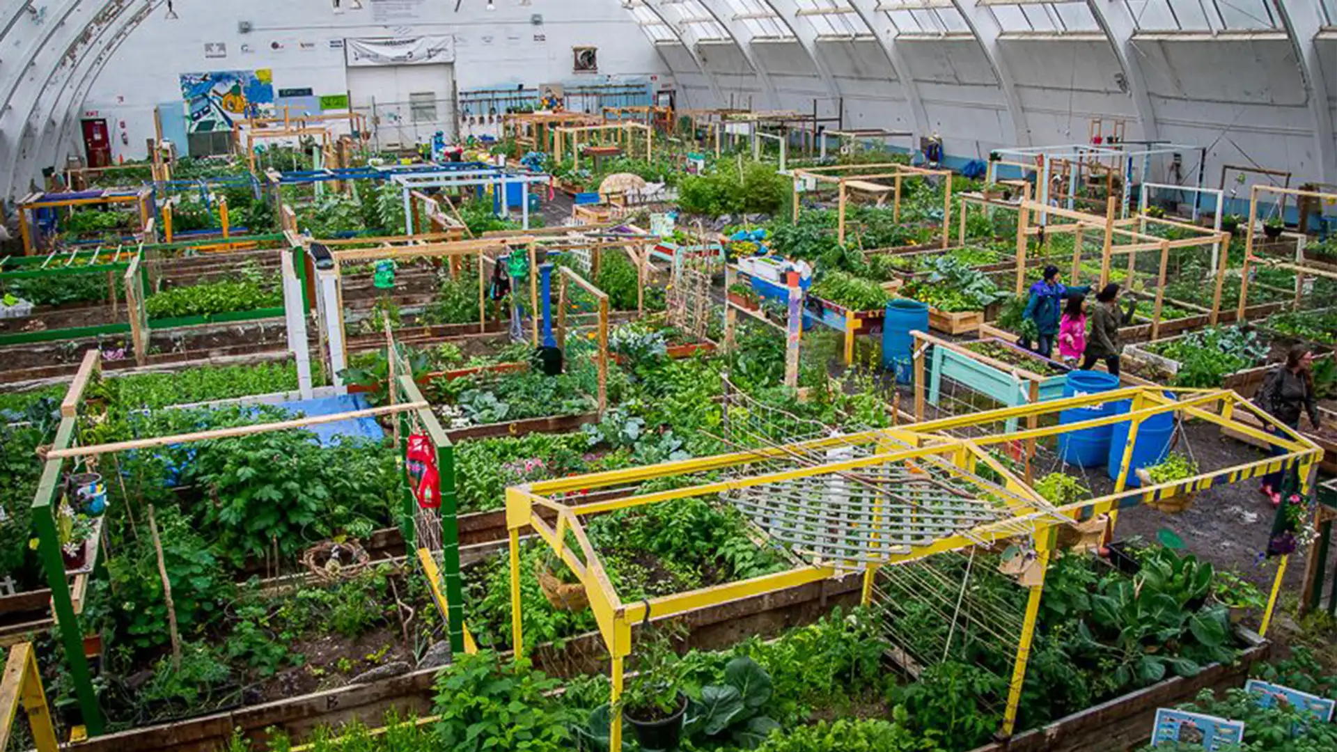 Arctic Greenhouses