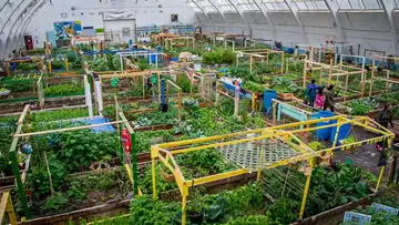Arctic Greenhouses