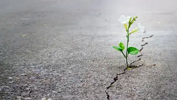 The Power of Repentance