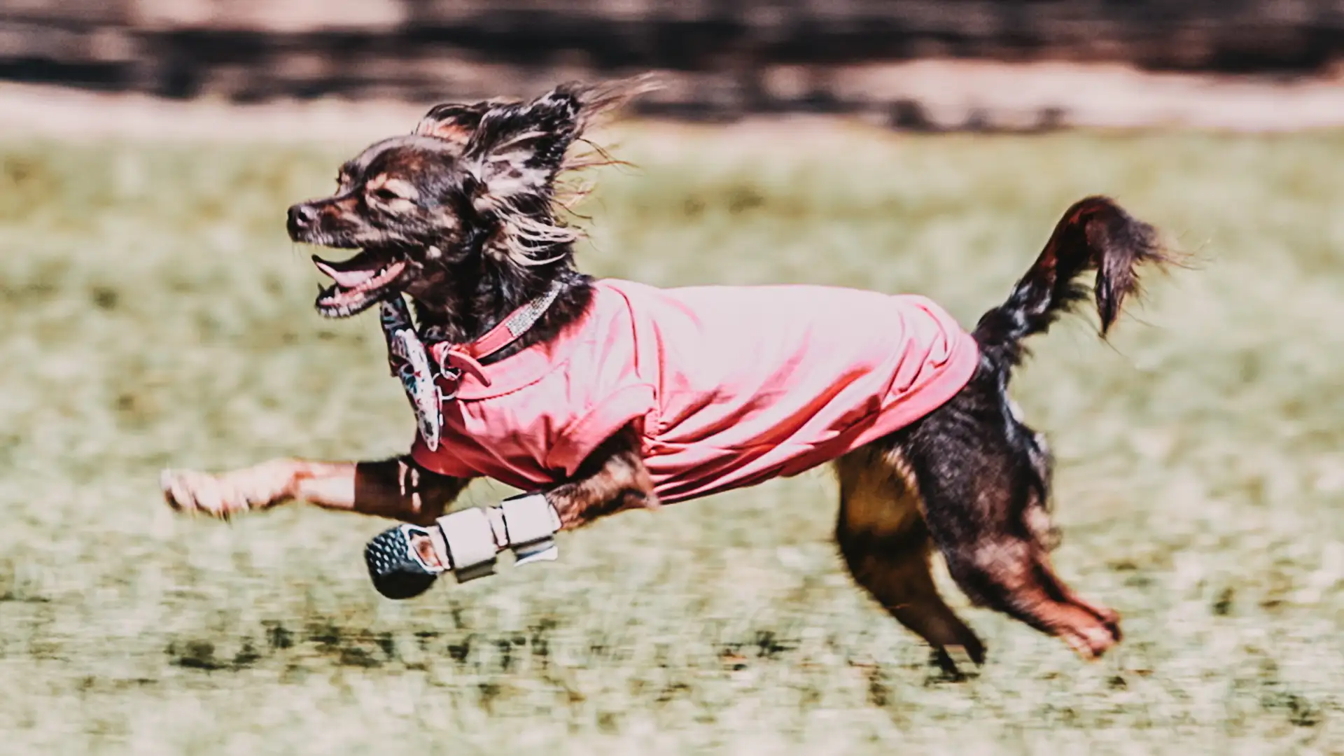 Saint Goes Marching In