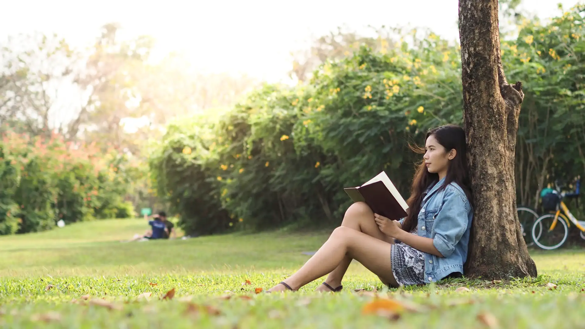 Young Adult Literature, Dolly Gray Children’s Lit Award