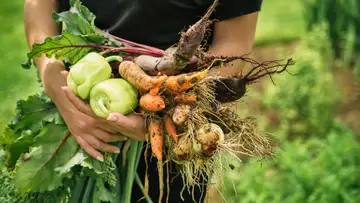 Imperfect Harvest