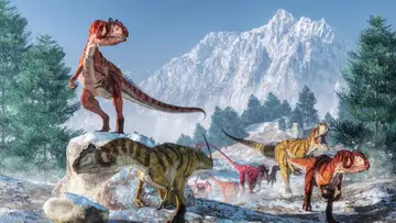 The Allosaurus Jimmadseni