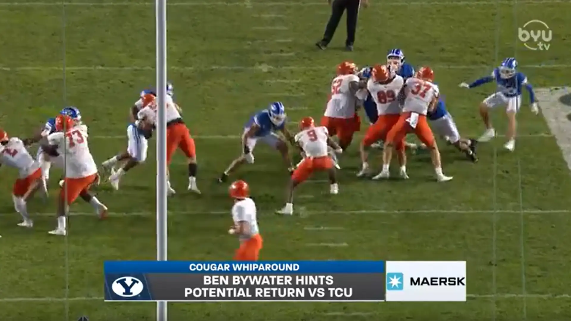 Cougar Whiparound