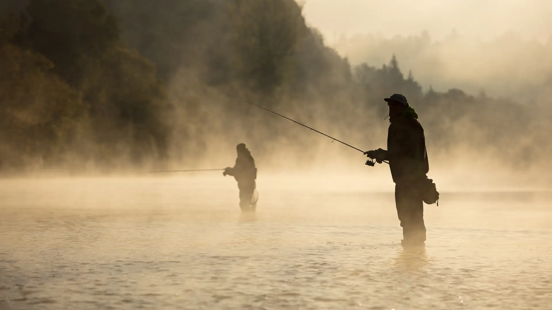 Patience In The Midst of Trials